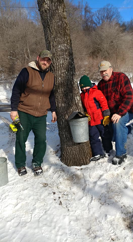 family tree tapping