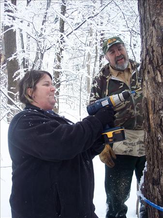 Working in the Woods